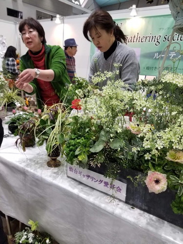 東北蘭展デモンストレーション